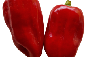 Türkischer Gewürzpaprika